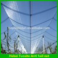 anti hail net for apple tree and tomato plantation , agriculture anti hail net